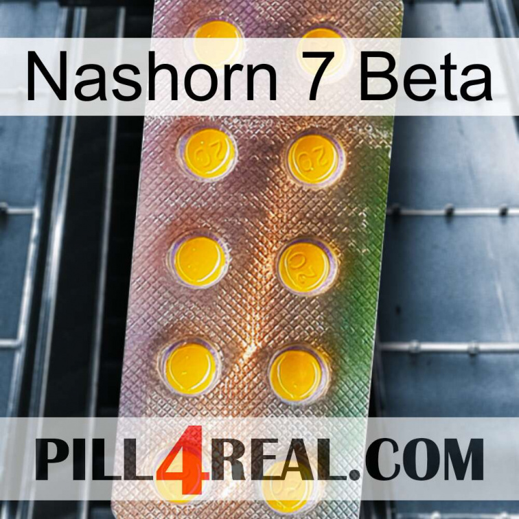 Rhino 7 Beta new11